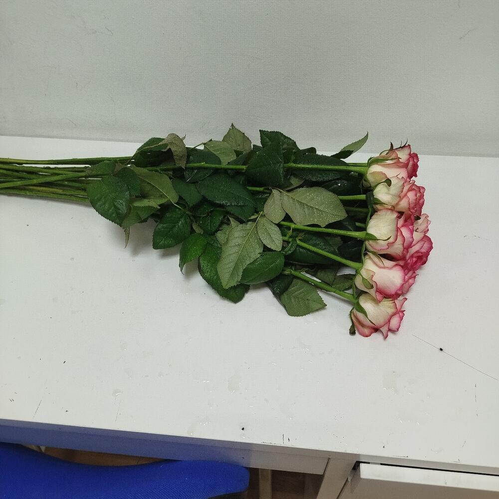 Карусель