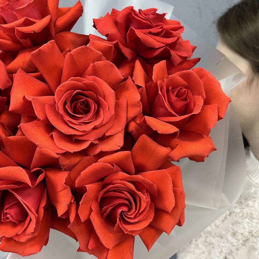 Тот самый всеми любимый сорт!  🌹 Nina — наша яркая и стойкая алая классика