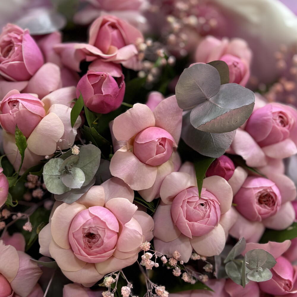 QQ roses