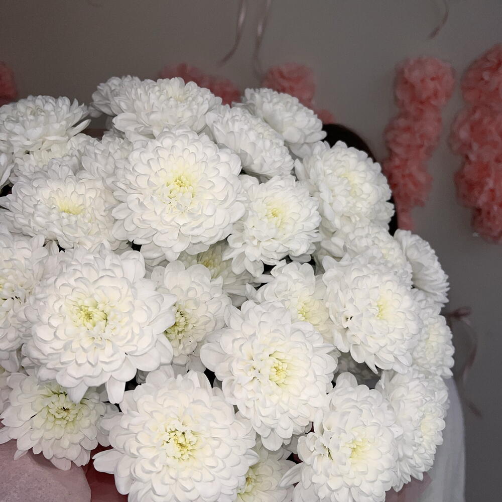 🌸Букет из белых хризантем