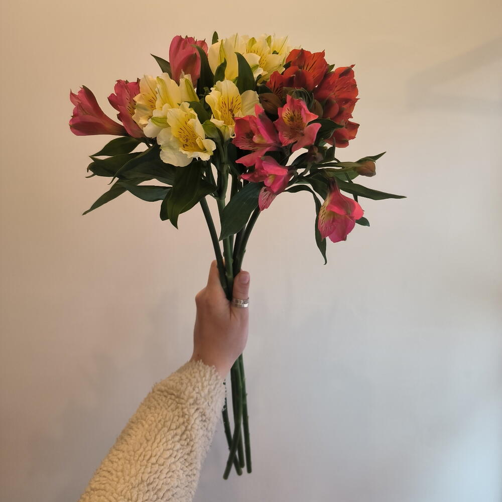 review-photo