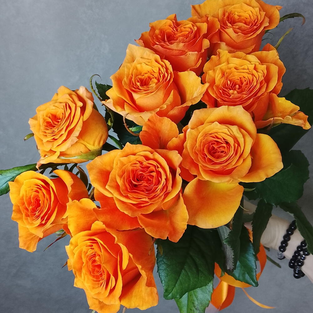 🧡розы одноголовые оранжевые