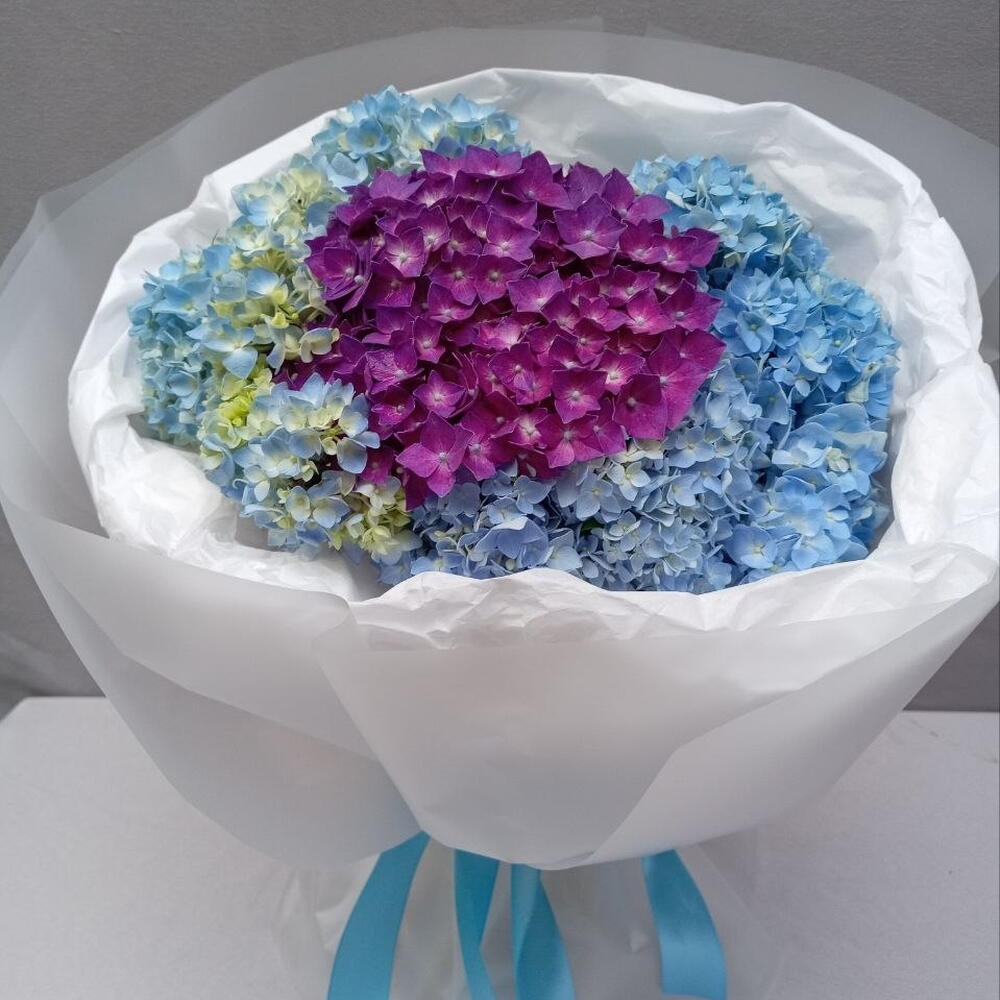 3 Hydrangea super FRESH Bouquet Букет 3  супер СВЕЖИХ гортензии