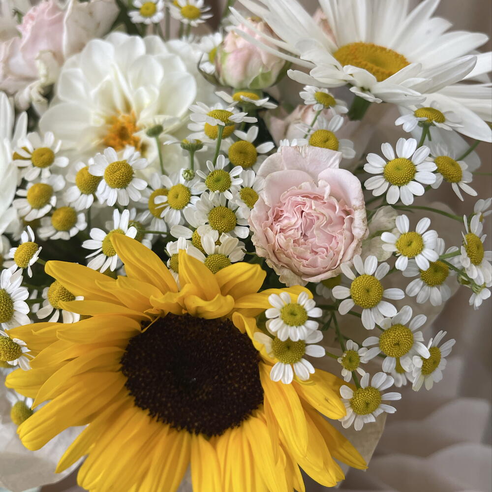 Ромашки и подсолнух в крафтовом цилиндре 🌼