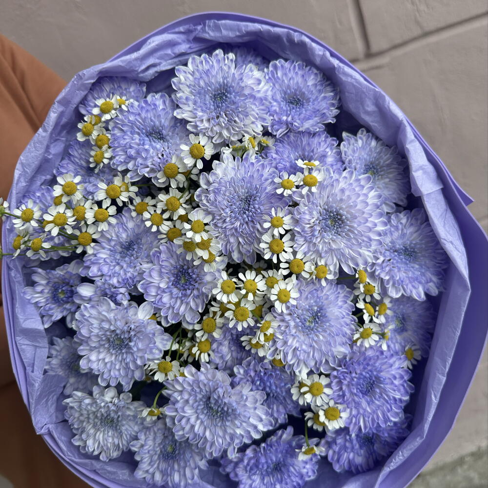 Северное сияние💜