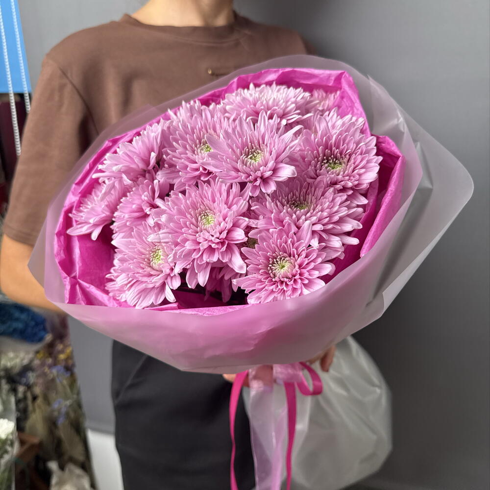 Хрищантема звезда