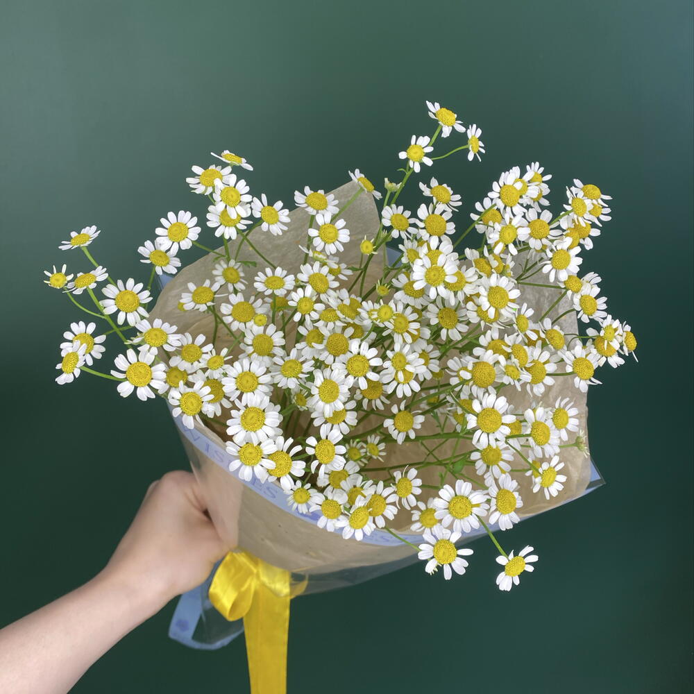 Букет-комплимент Ромашек Камилла