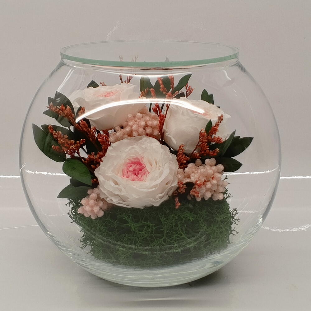 Натуральные пионы в стекле, вакуум (RF2.5770wp)