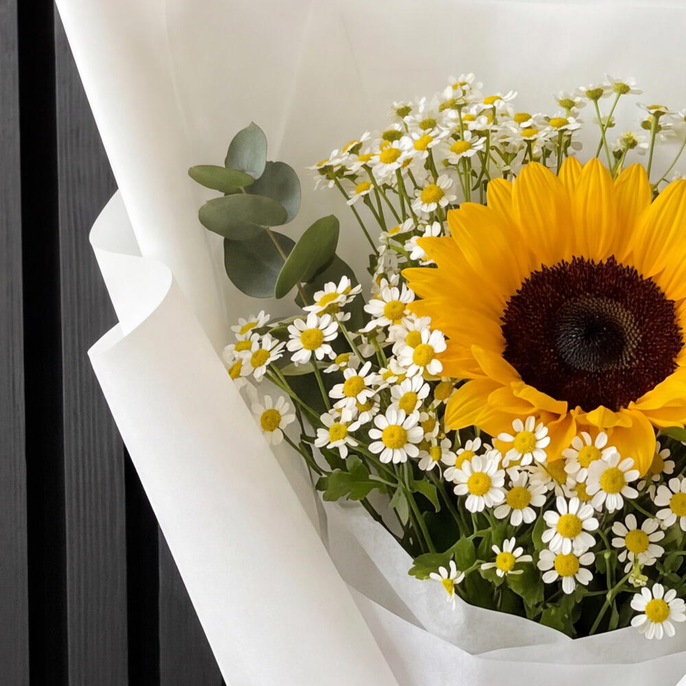 Солнце 🌻