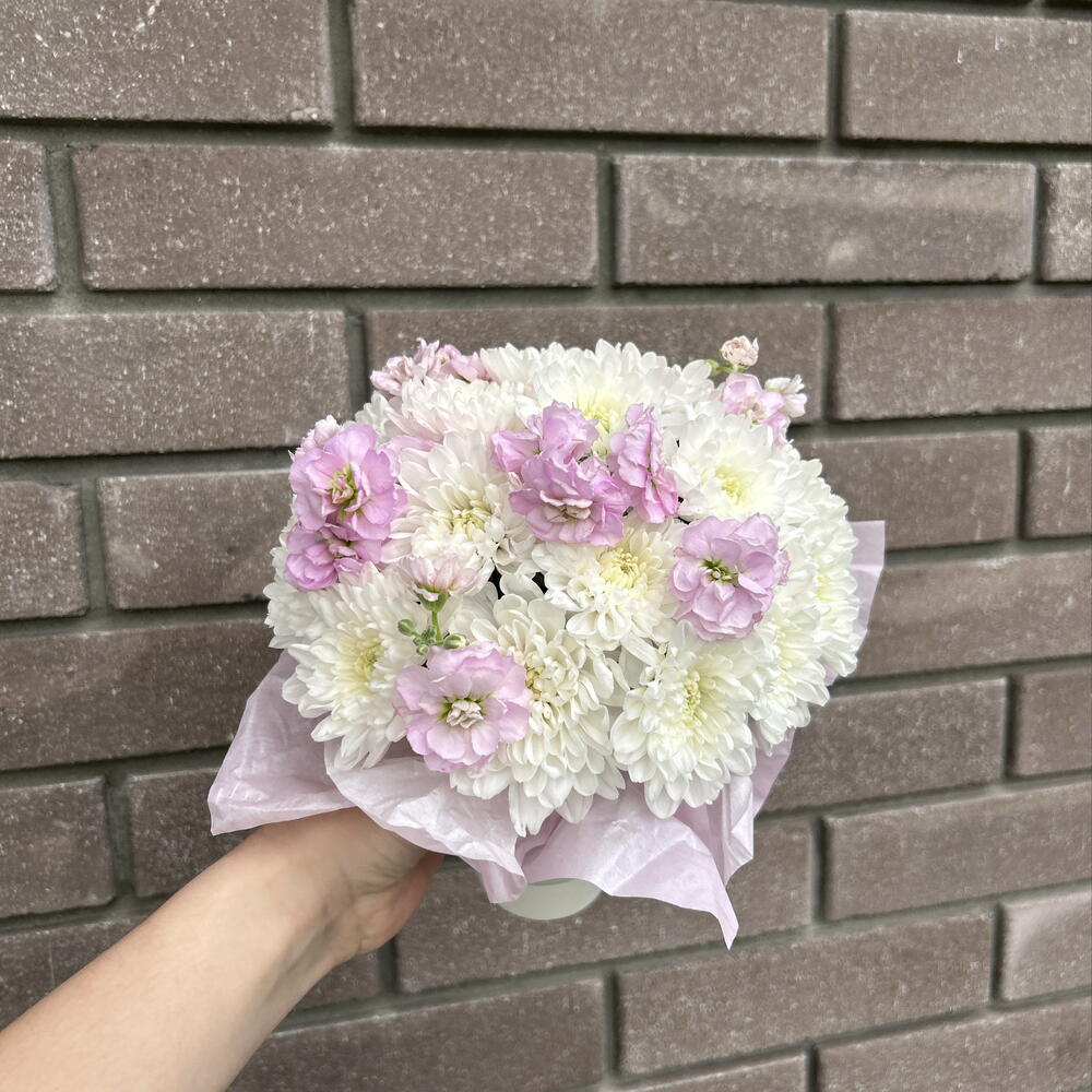 комплимент с маттиолой