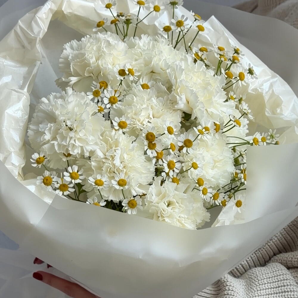 Диантусы белые с ромашкой