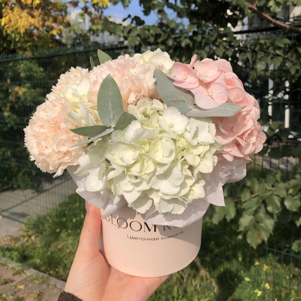 🌸Облачко в коробочке Bloom room