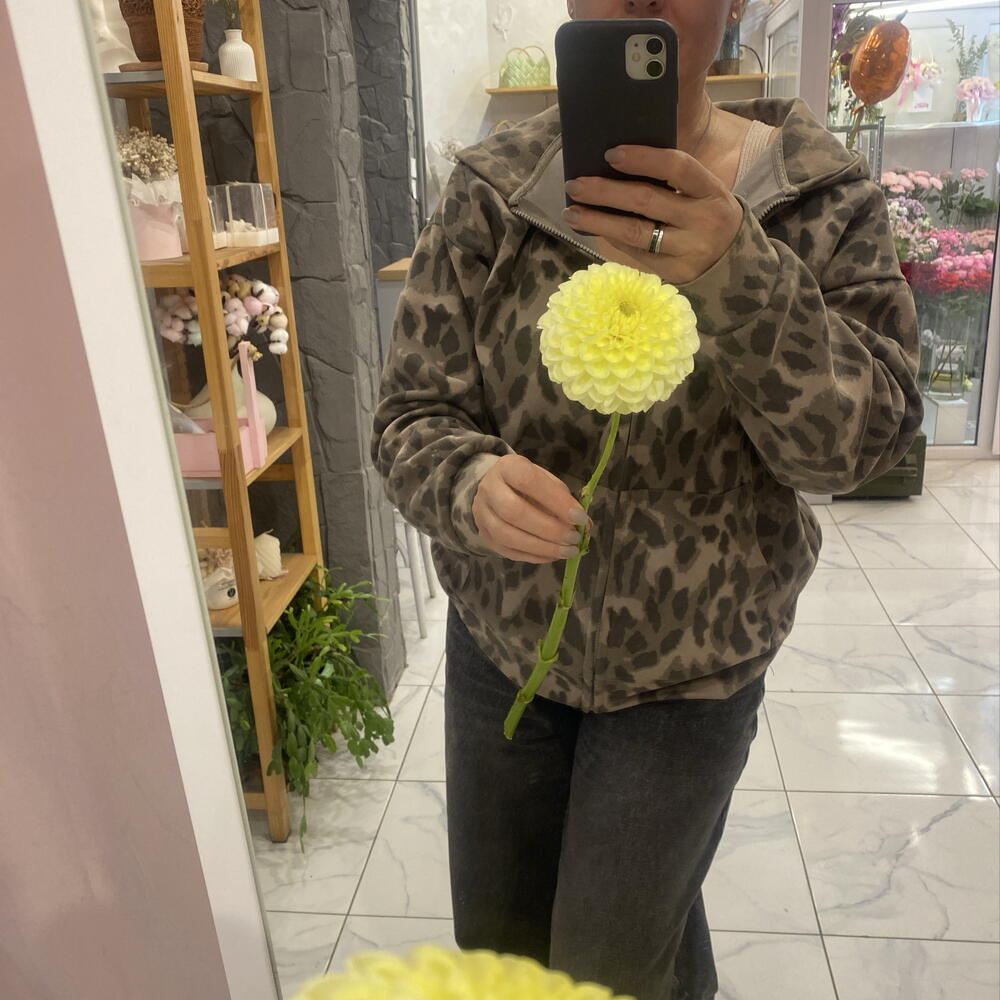 Георгин