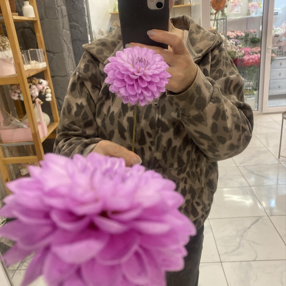 Георгин 🌸🌸🌸
