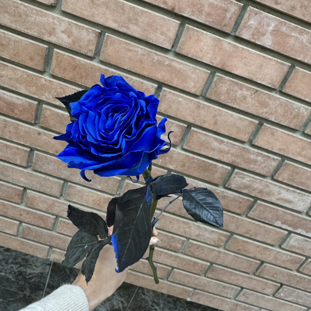 Роза Blue 60 см