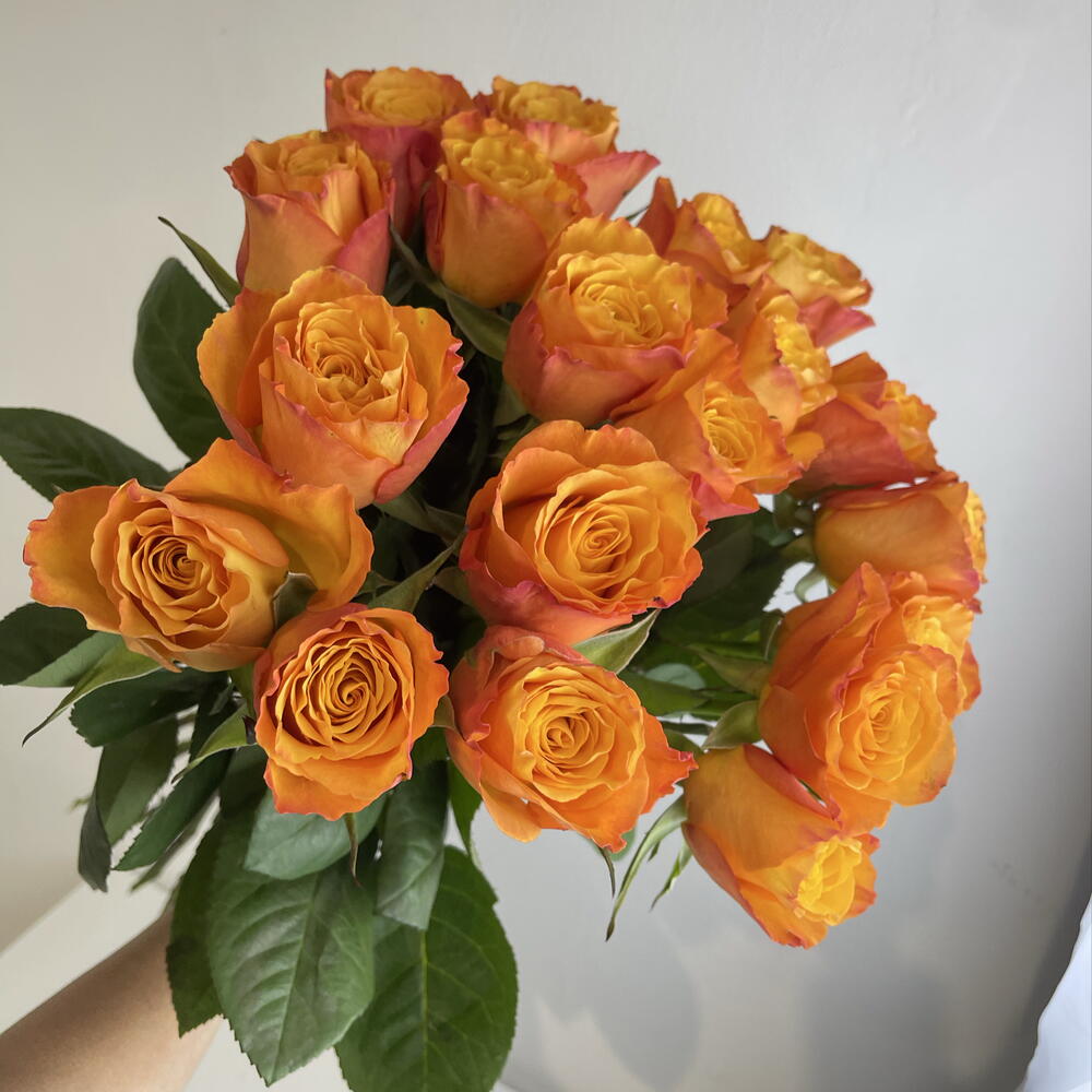 Розы рыжие 🧡19