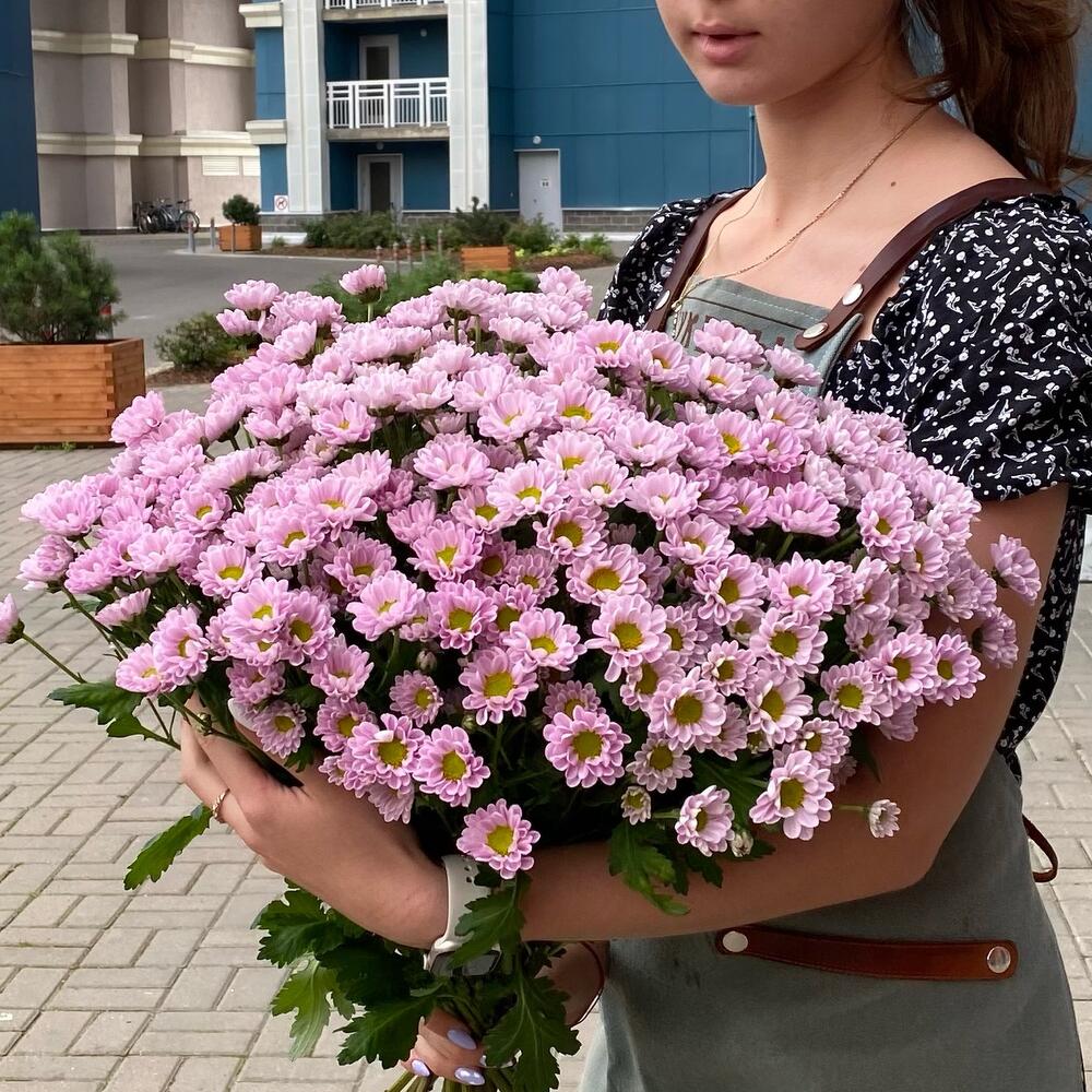 Santini Pink