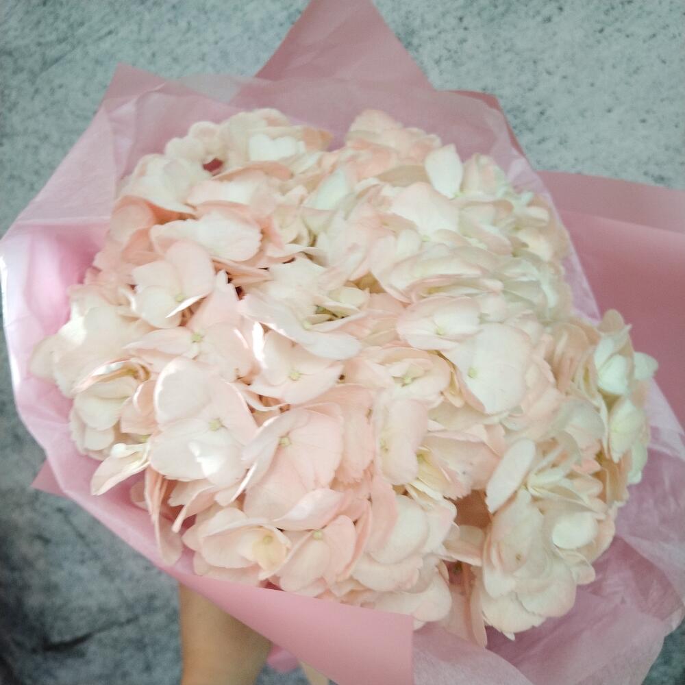 Букет кремовой гортензии
