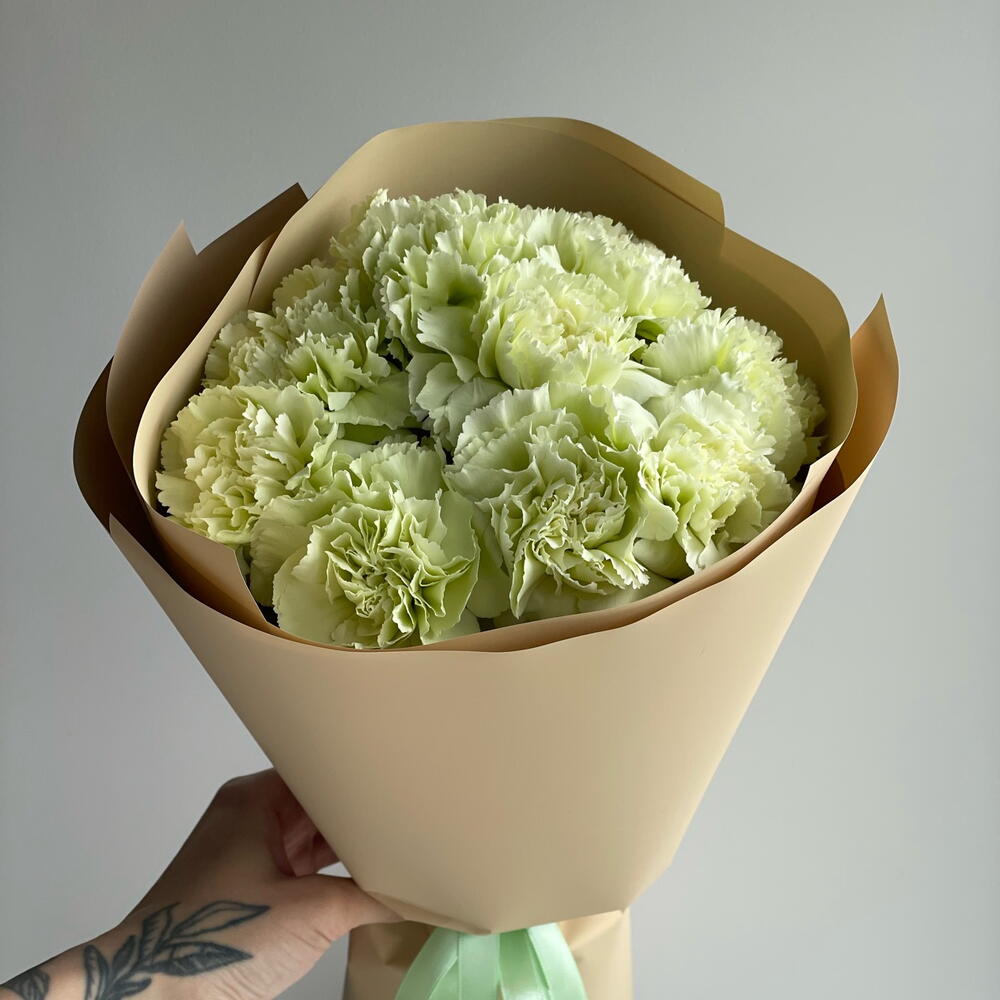 Diantus mini, Flowers & Gifts Kraków, buy at a price of 14.52 EUR, Mono