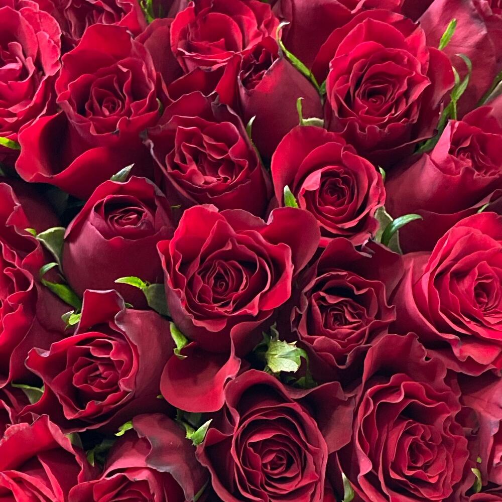 Любовь-морковь🌹🌹🌹