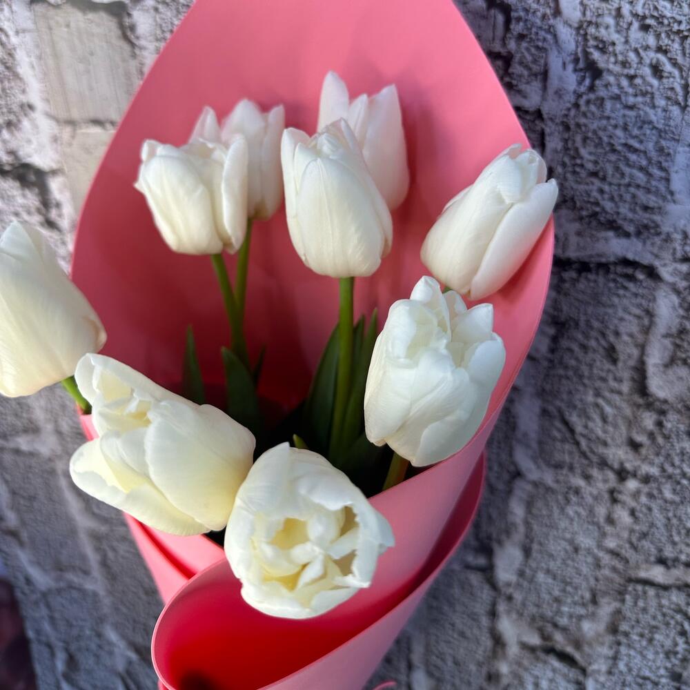 Tulip 9