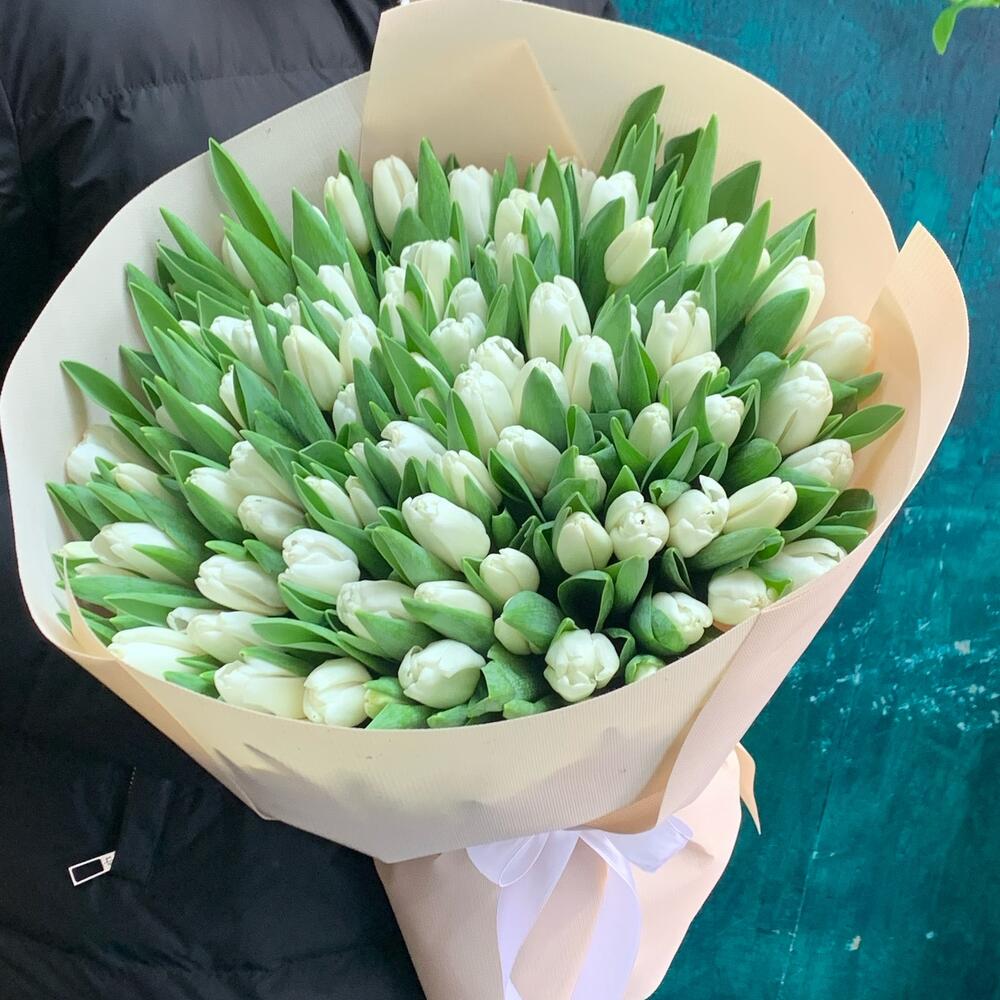 101 tulipanes blancos