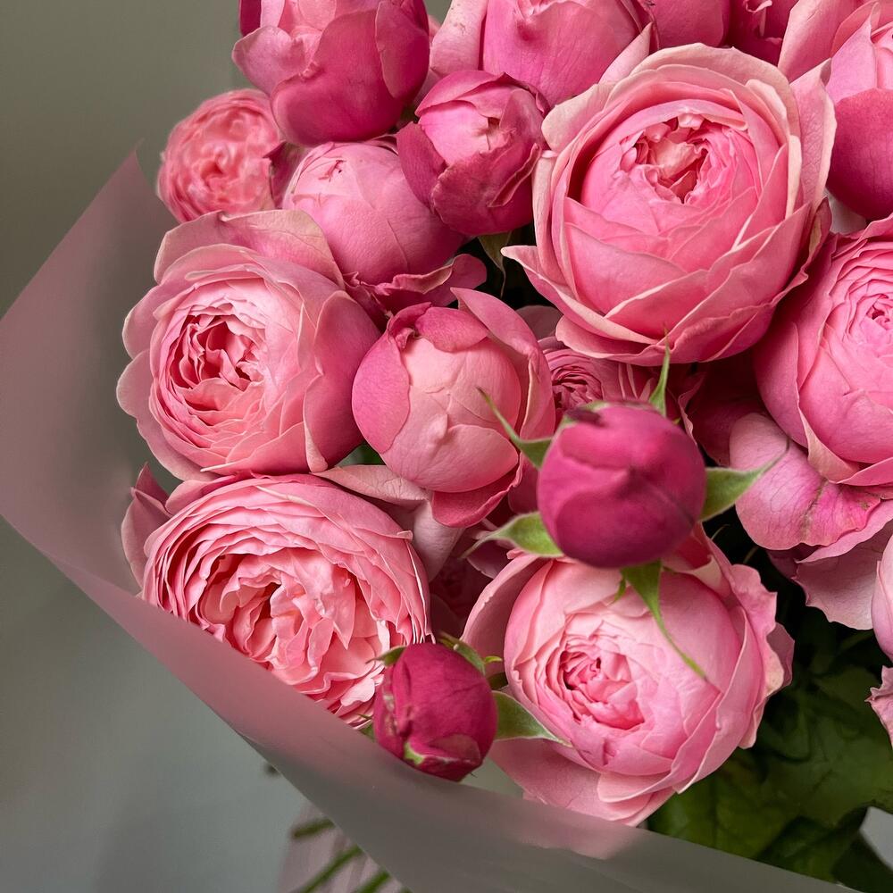 25 кустовых пионовидных роз🌸