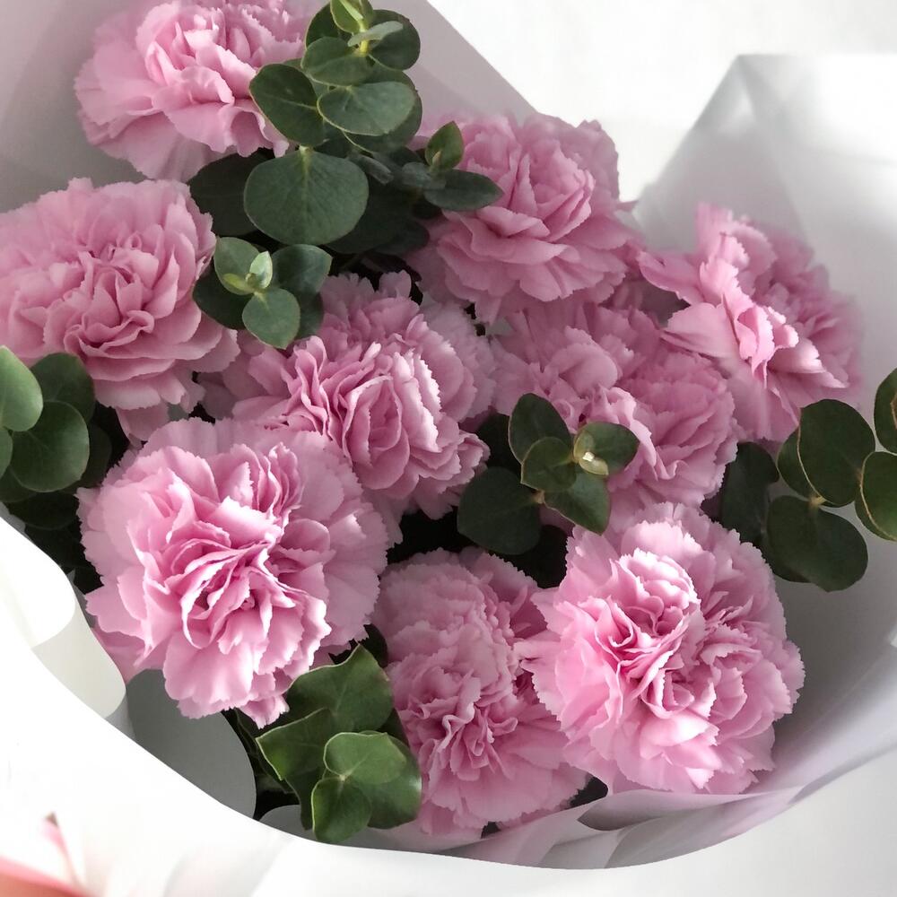 Версаль 🌸