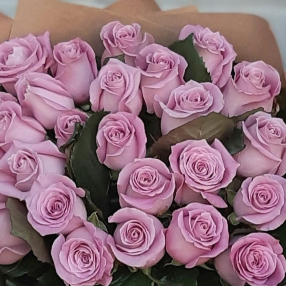 25 лавандовых роз 🌺