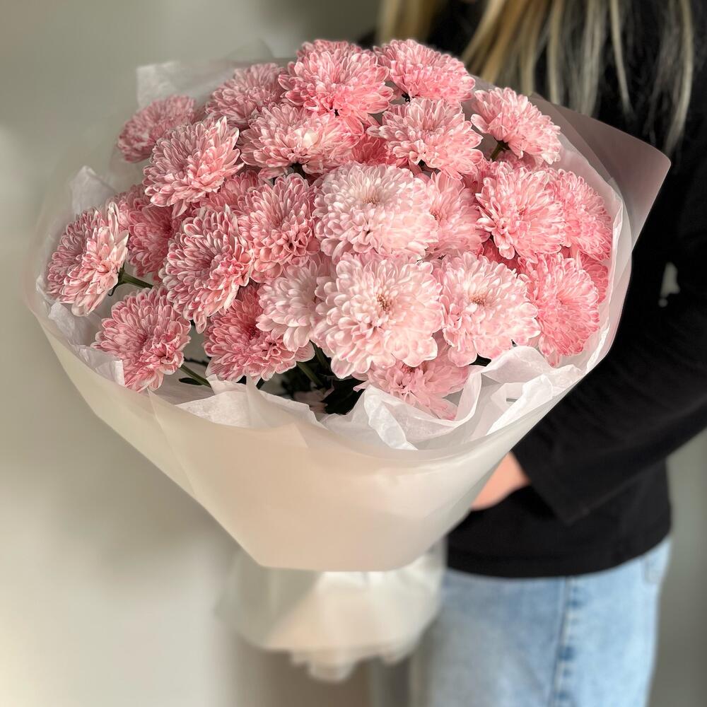 Стойкая хризантема вишневая 🍒