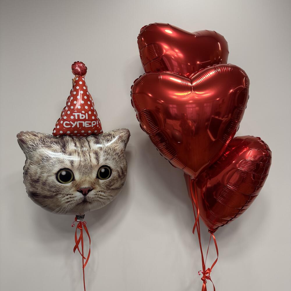 Набор шаров с котом, 4 шара