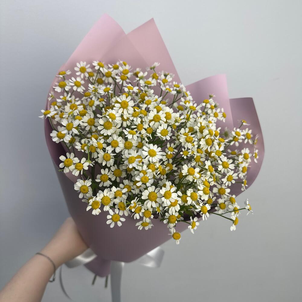 Ароматные ромашки🌸 монобукет комплимент