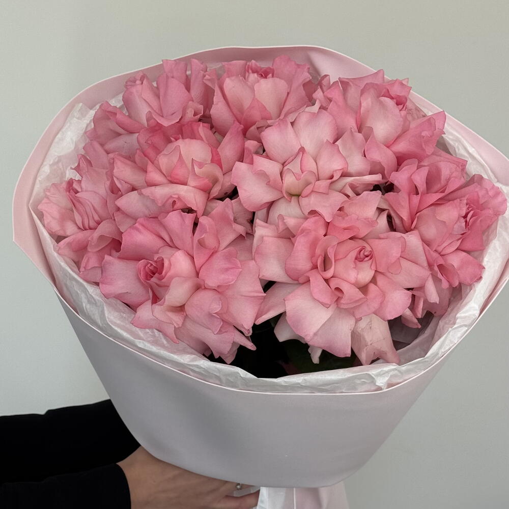 Розовые французские розы