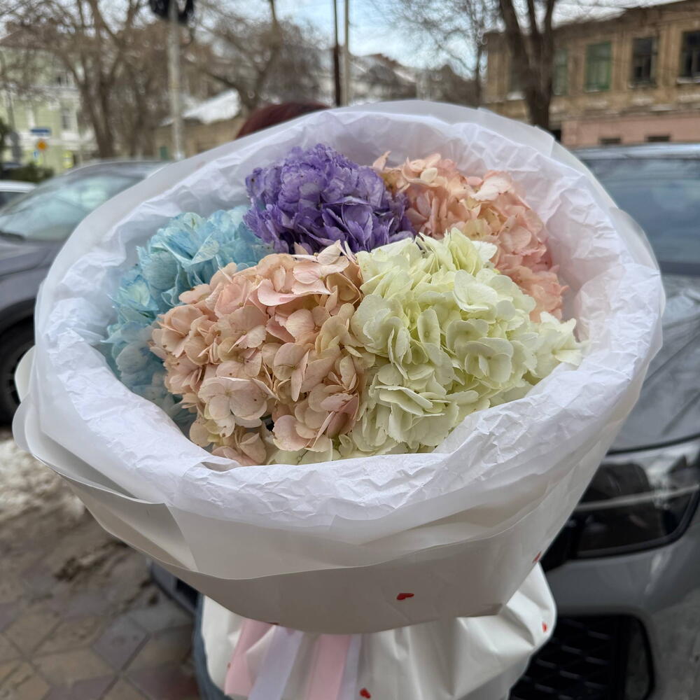 Микс гортензий