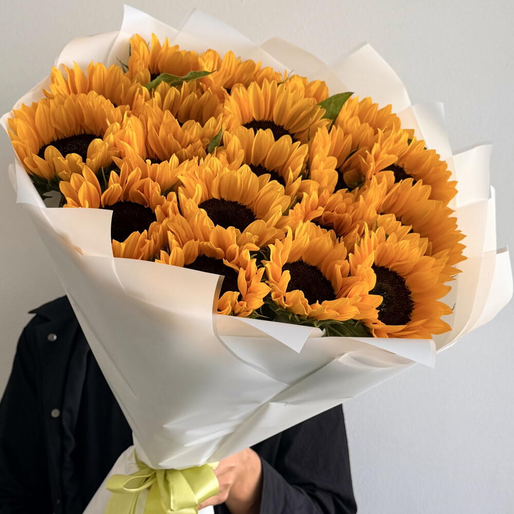 Подсолнухи 🌻