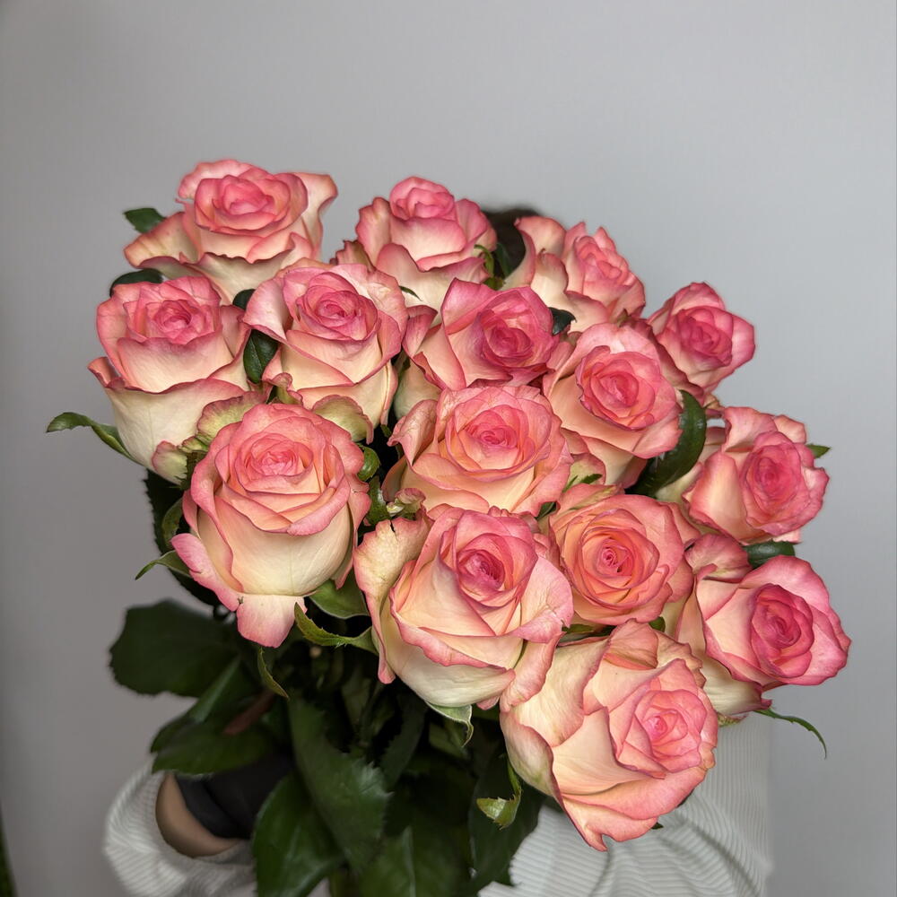 15 роз джумилия 🌸