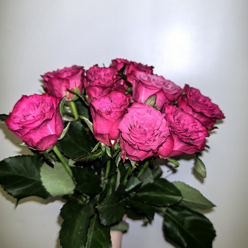 Букет из 9 кучерявых роз 🌹🌹🌹