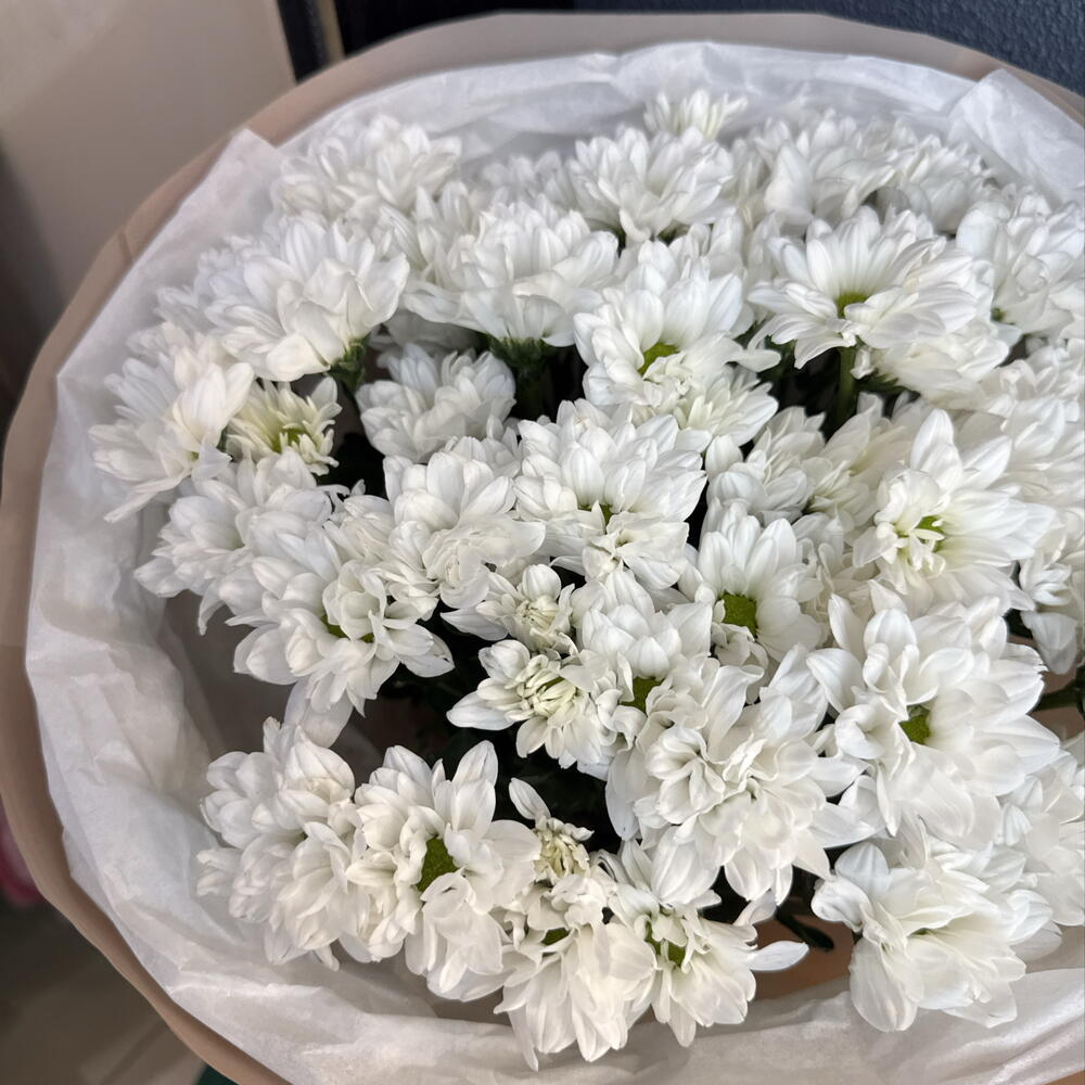 Букет с ромашками