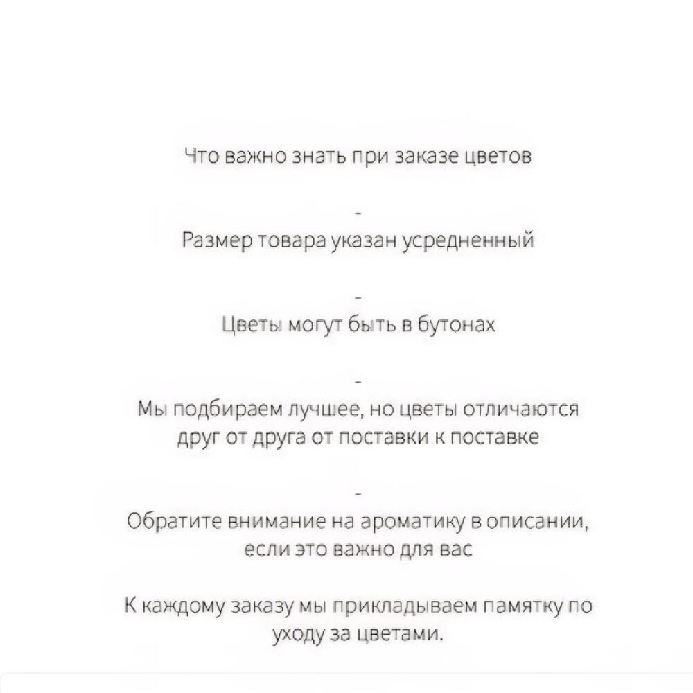 Протея королевская «Растим»