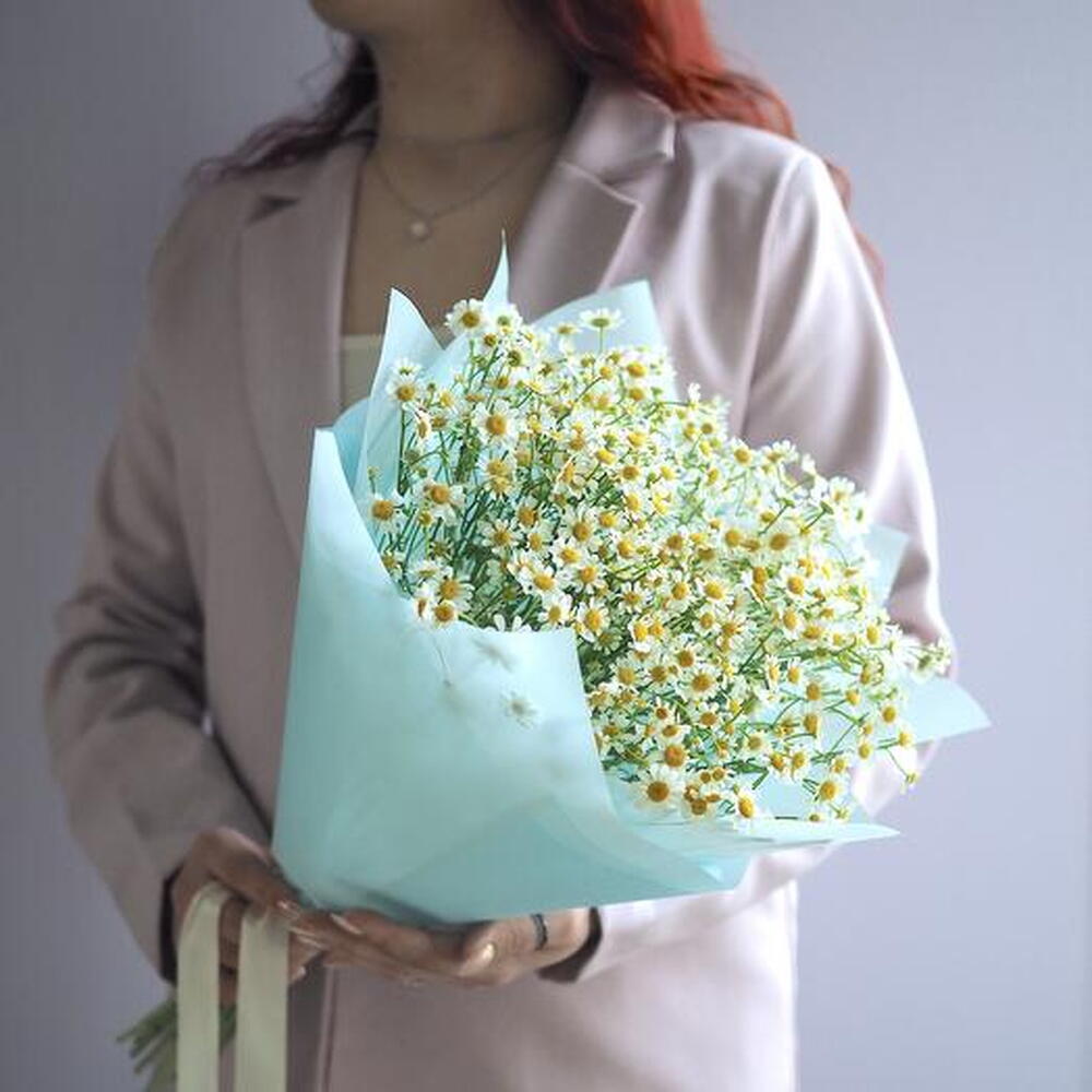 Нежные Полевые Ромашки