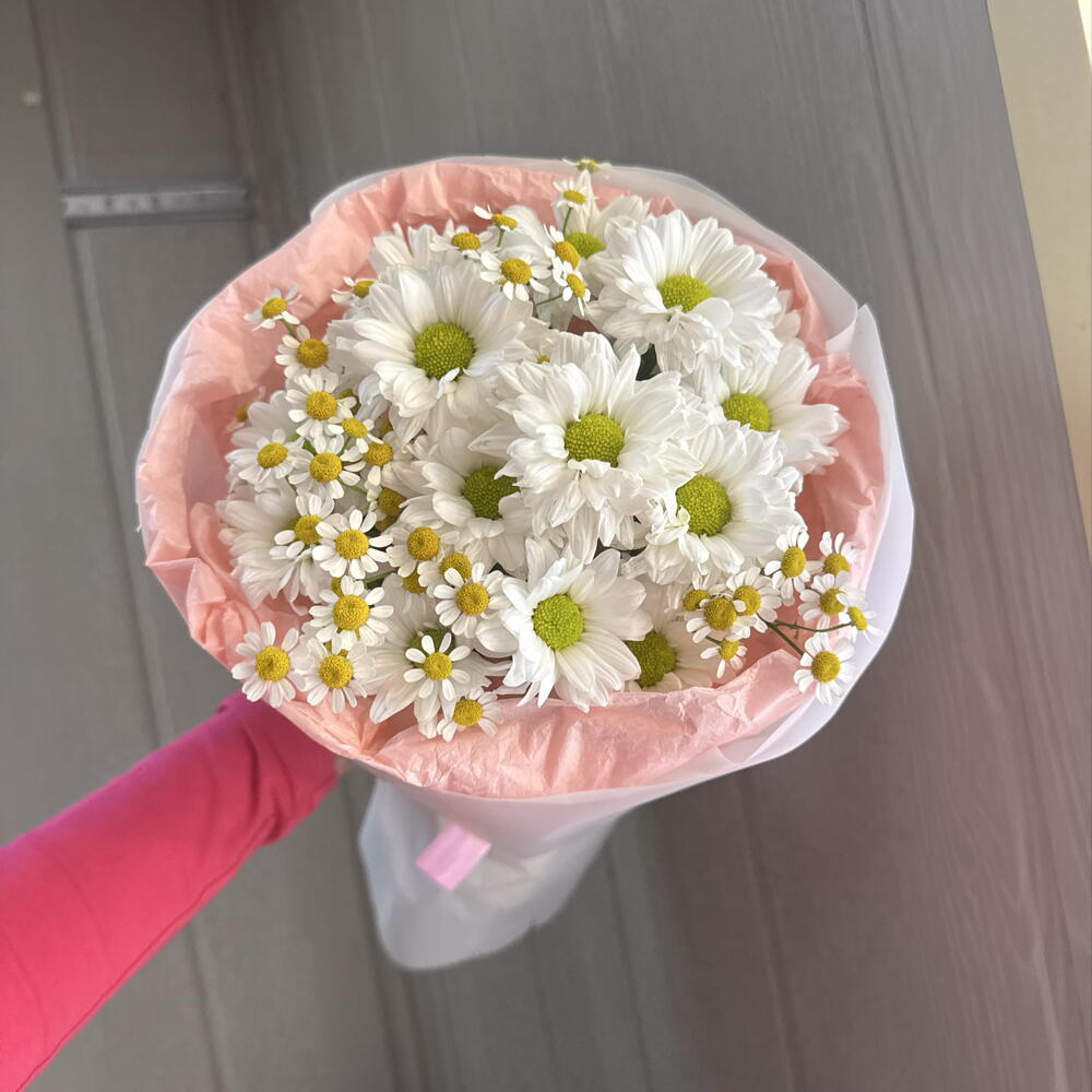 🎀с ромашками