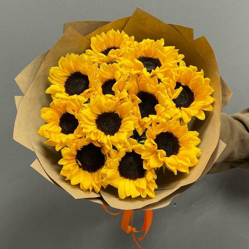 11 солнечных подсолнухов 🌞