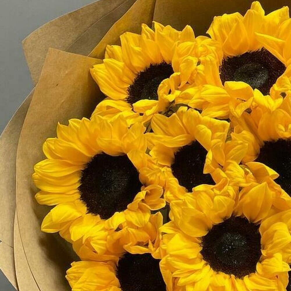 11 солнечных подсолнухов 🌞
