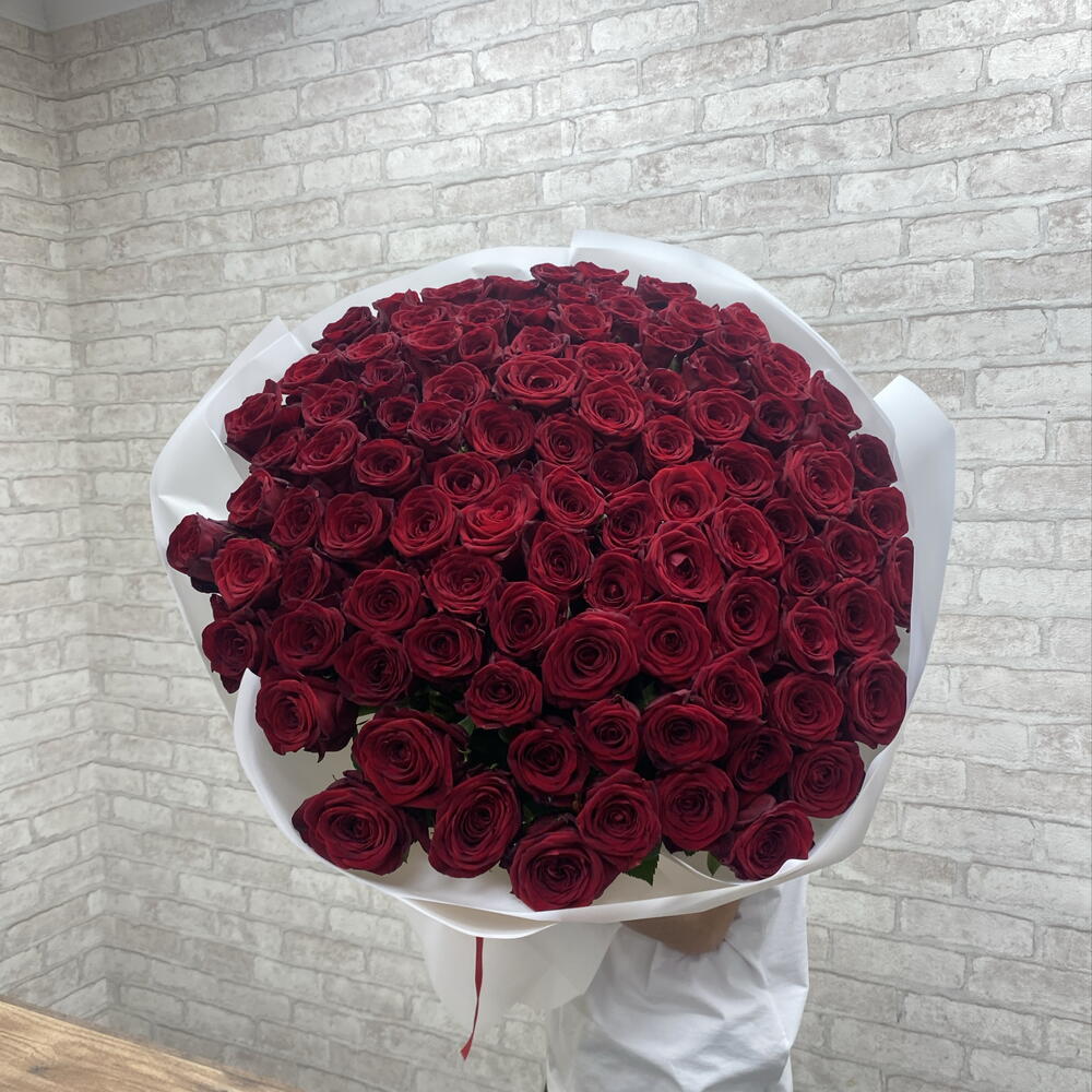 101 красная Роза🌹🌹🌹