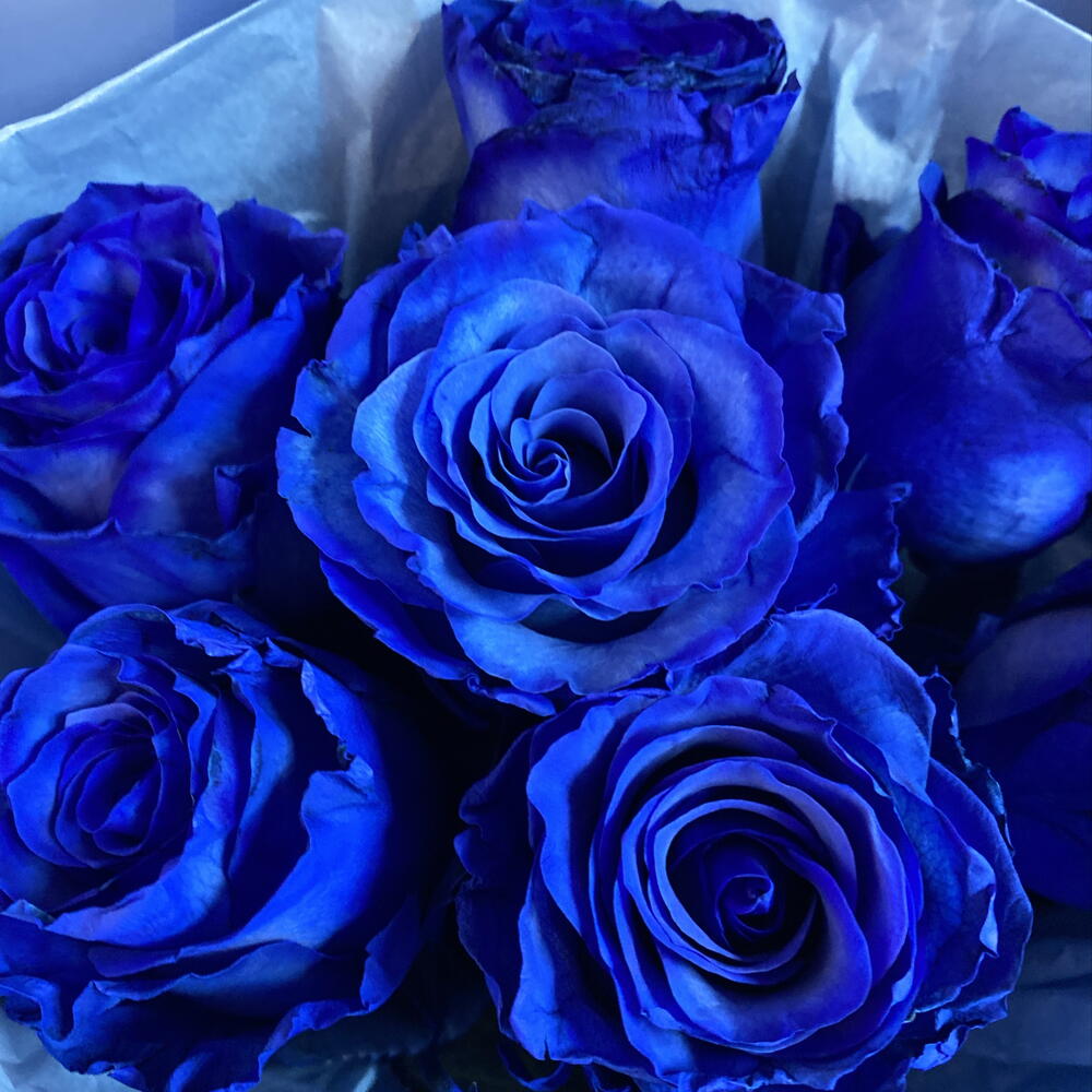 Букет синих роз 💙