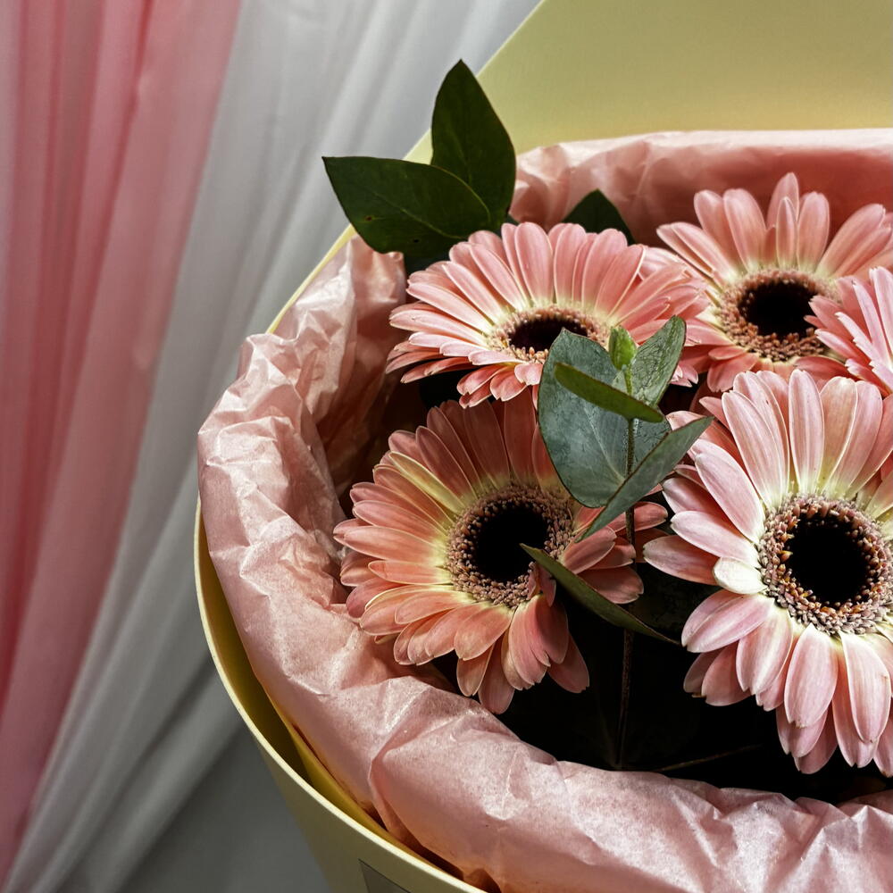 Кулек «Хуторяночка»