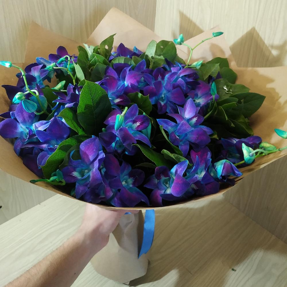 Dendrobium 2