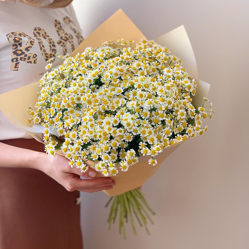Букет из кустовых ромашек