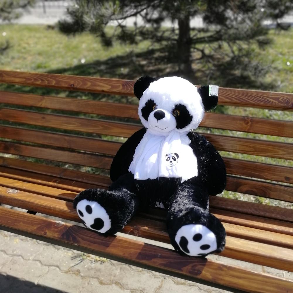 ✅ Панда 🐼