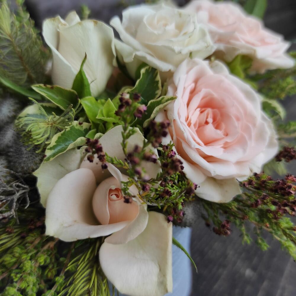 Элегант
